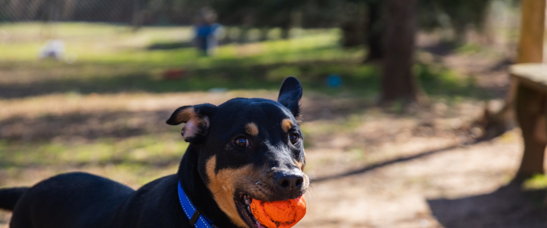 7 Ways to Support Charity Foundations in Cartersville, Georgia