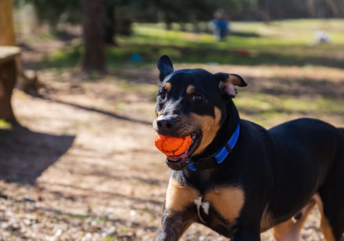 7 Ways to Support Charity Foundations in Cartersville, Georgia